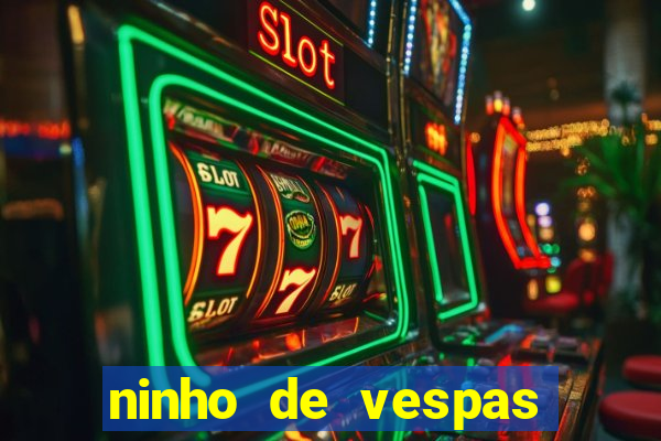 ninho de vespas significado espiritual